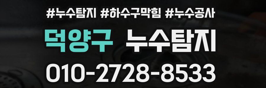 덕양구 누수탐지업체