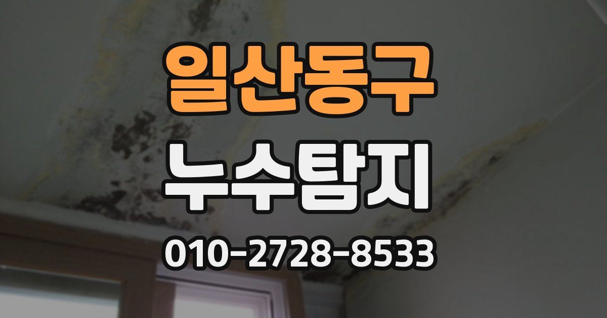 일산동구 누수공사