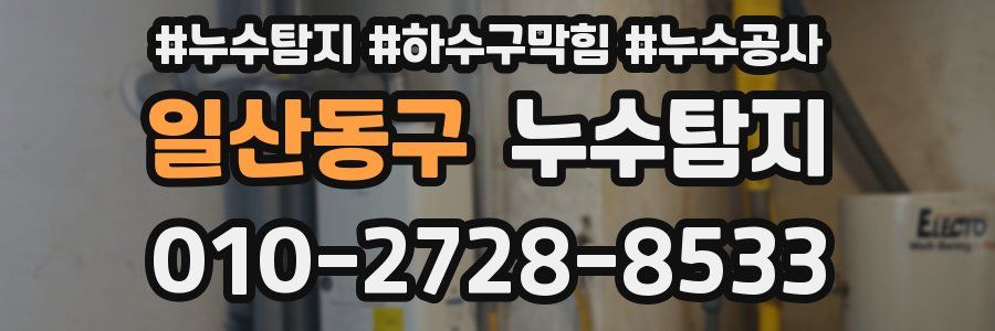 일산동구 누수탐지업체