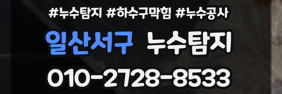 일산서구 누수탐지업체