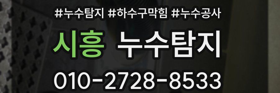 시흥 누수탐지업체