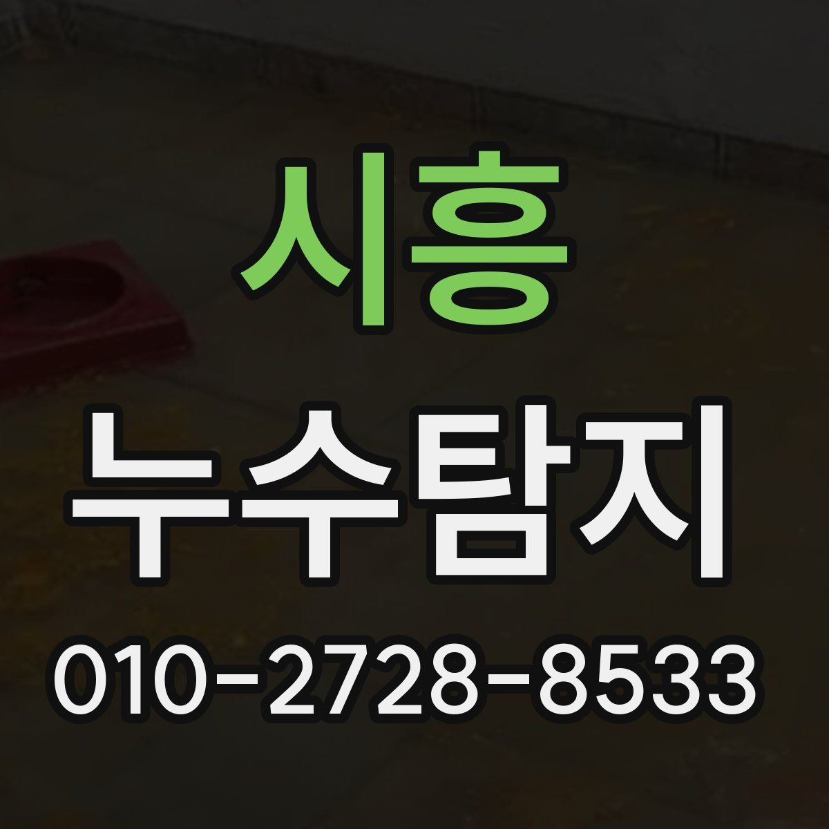 시흥 누수탐지