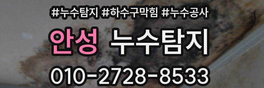 안성 누수탐지업체