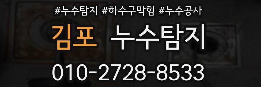 김포 누수탐지업체