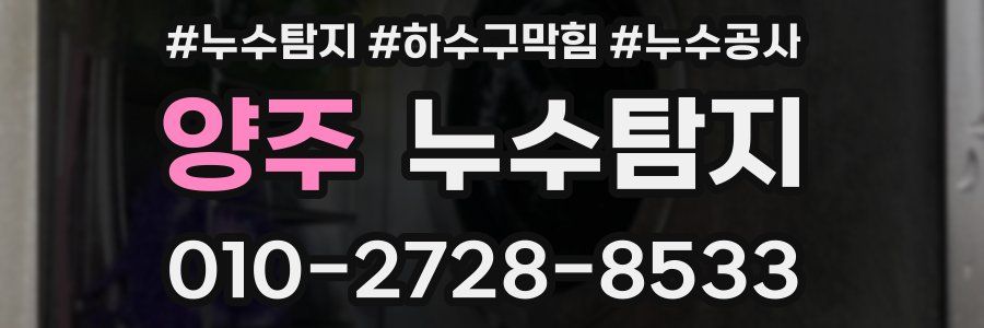 양주 누수탐지업체