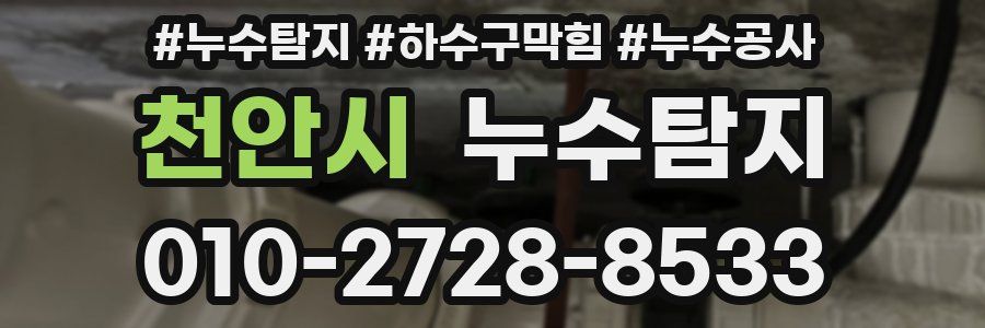천안시 누수탐지업체