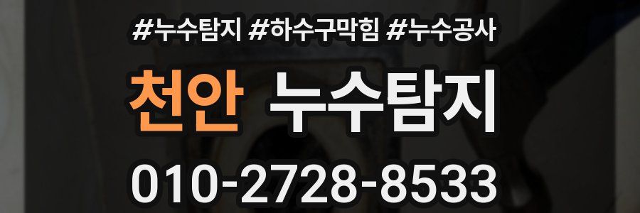 천안 누수탐지업체