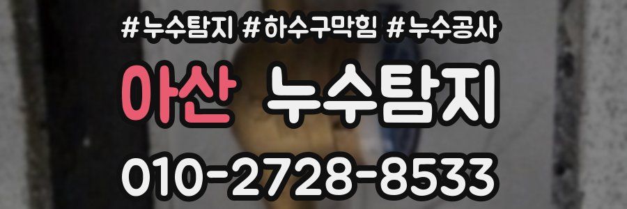 아산 누수탐지업체