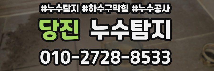 당진 누수탐지업체