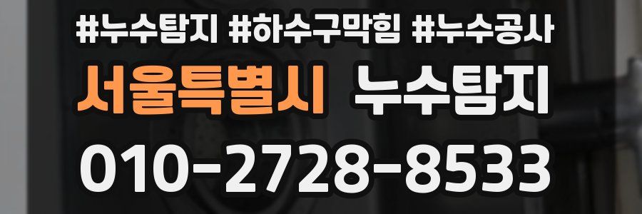 서울특별시 누수탐지업체