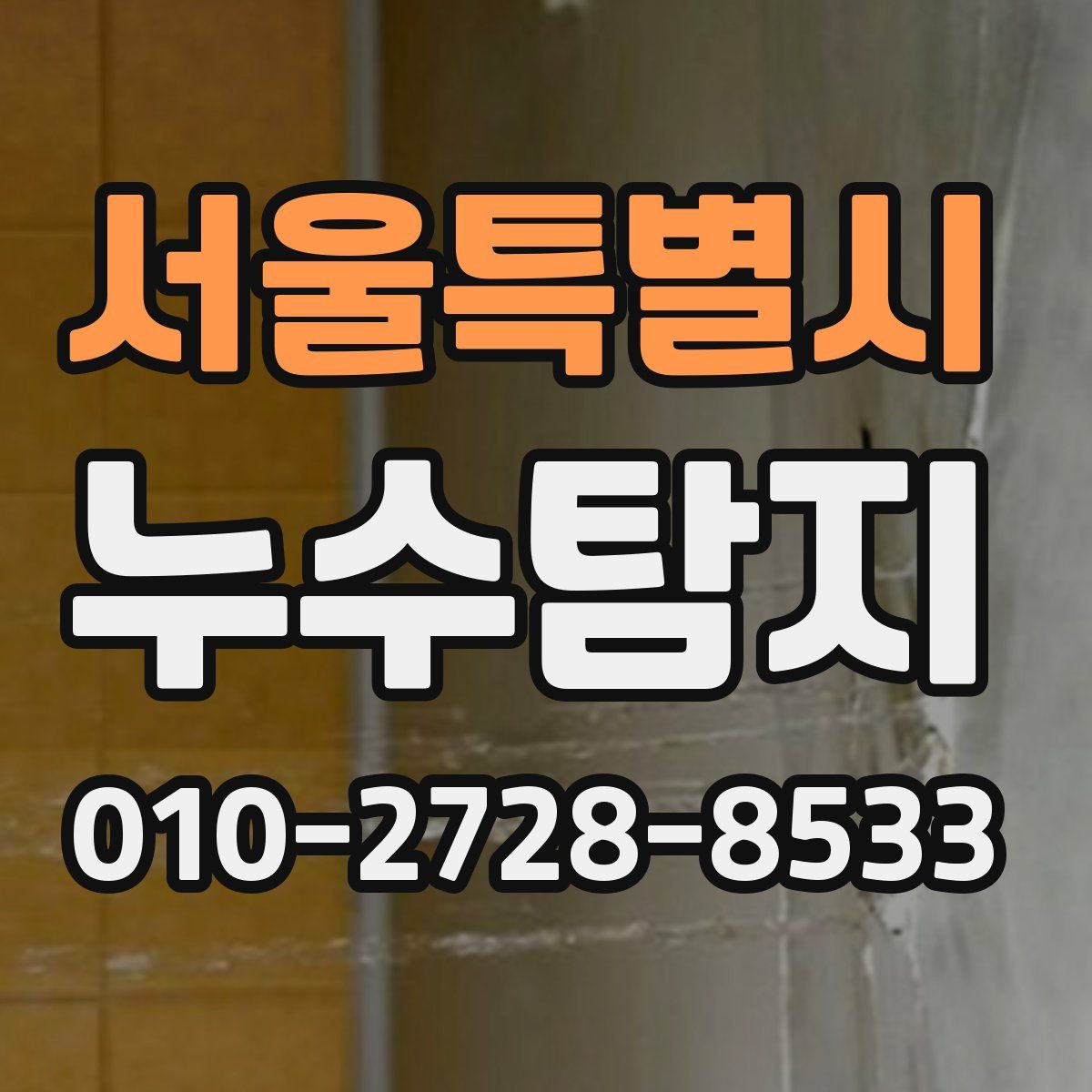 서울특별시 누수탐지