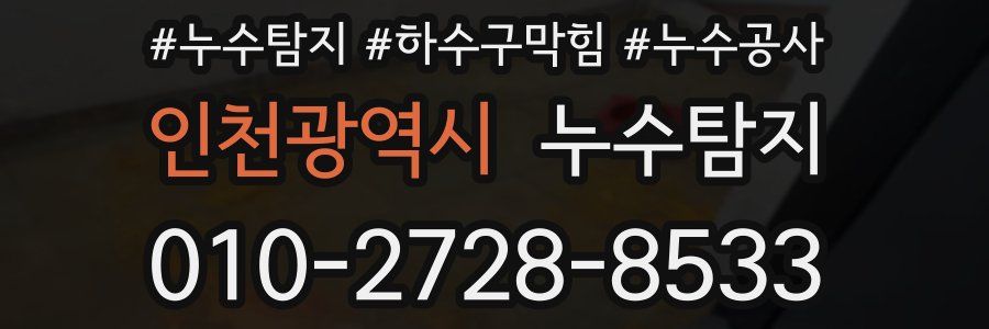 인천광역시 누수탐지업체