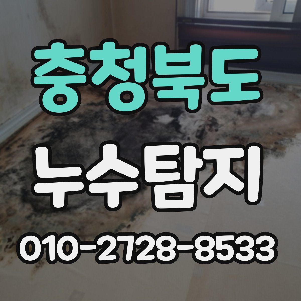 충청북도 누수탐지