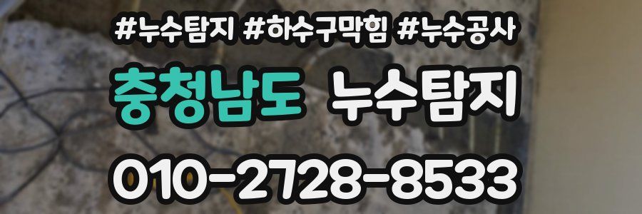 충청남도 누수탐지업체