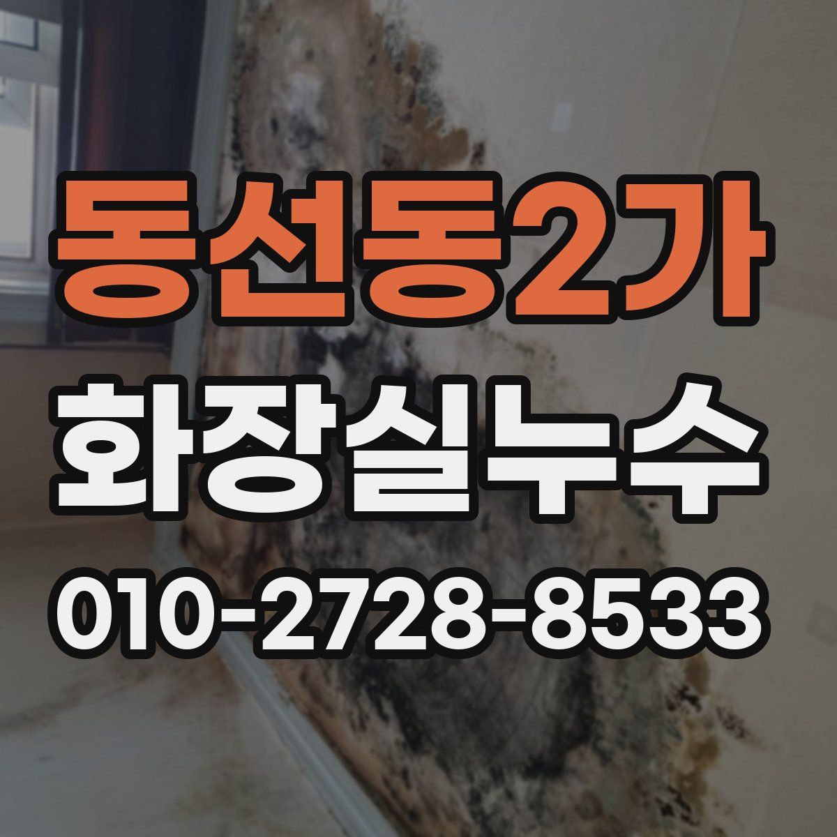 동선동2가 화장실누수탐지