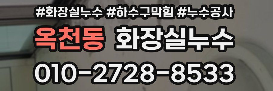 옥천동 누수탐지
