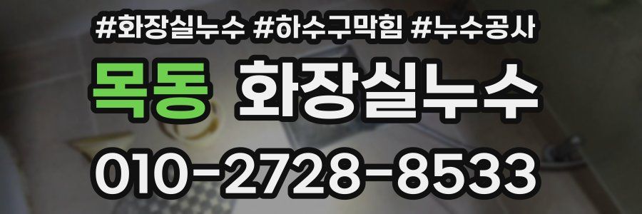 목동 누수탐지