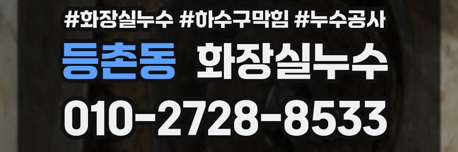 등촌동 누수탐지
