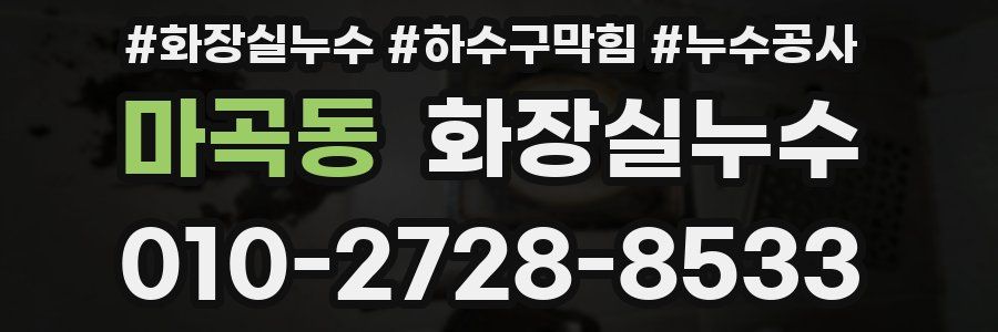마곡동 누수탐지