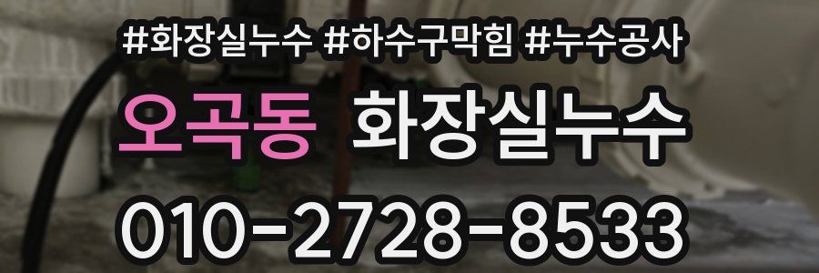 오곡동 누수탐지