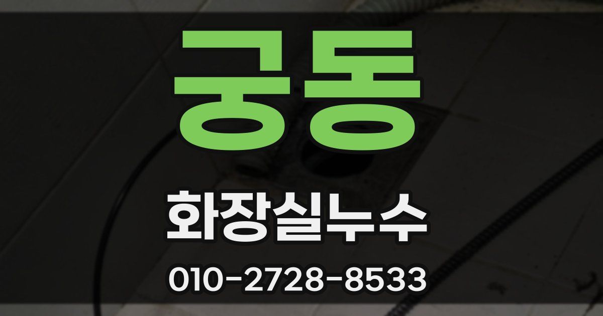 궁동 누수업체