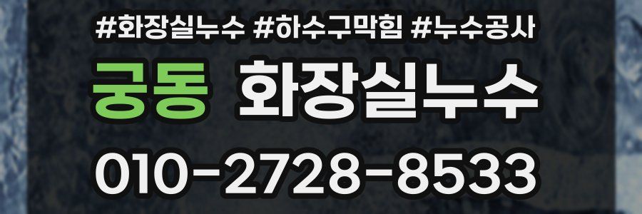궁동 누수탐지