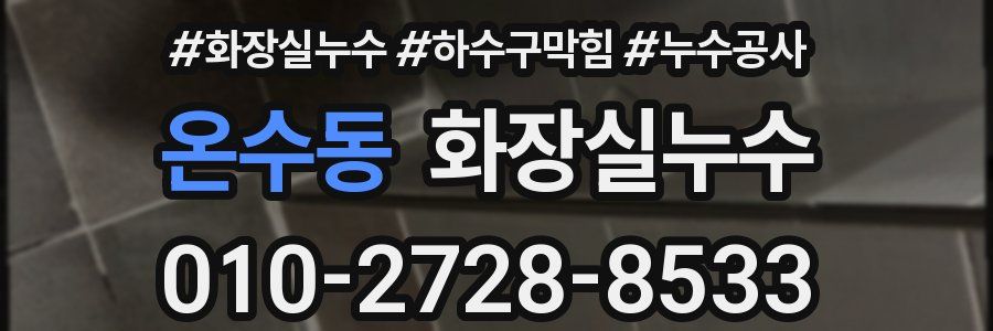 온수동 누수탐지