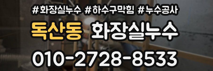 독산동 누수탐지