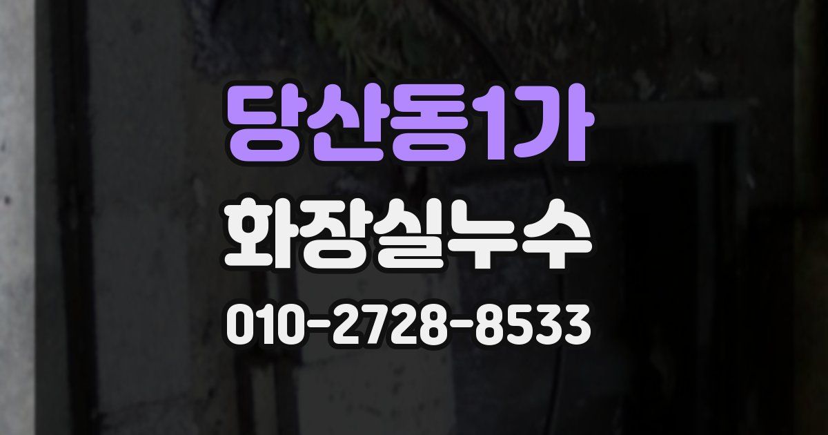 당산동1가 누수업체