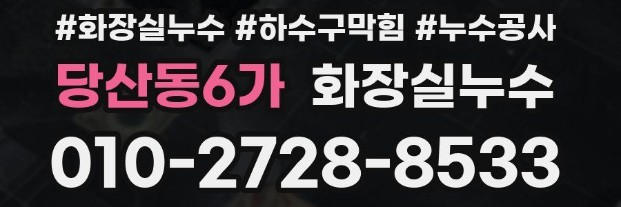 당산동6가 누수탐지
