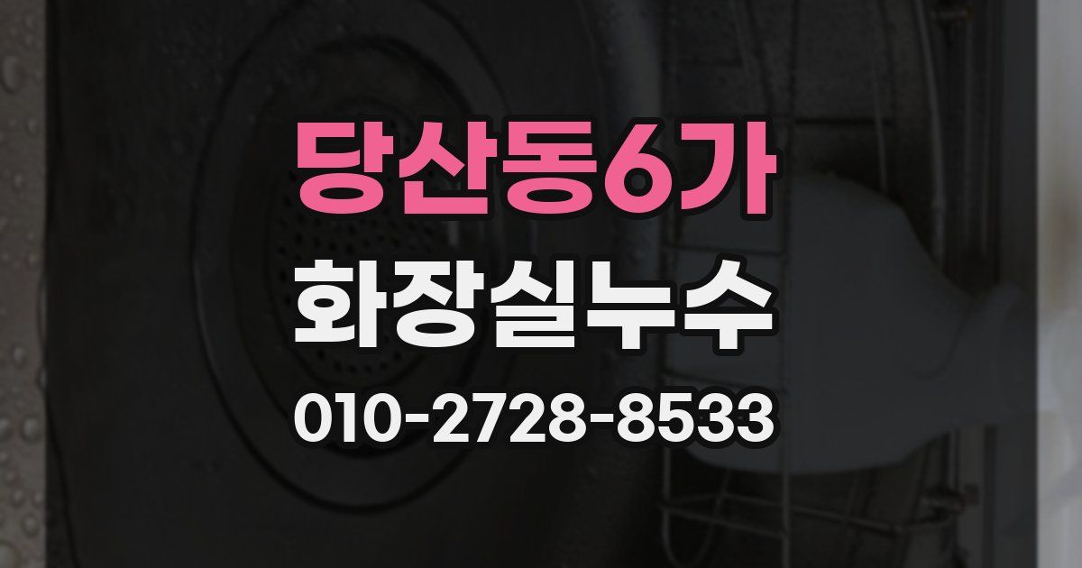 당산동6가 누수업체