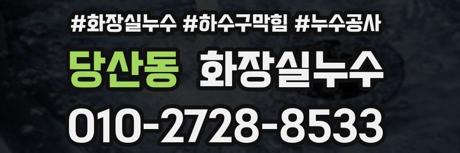 당산동 누수탐지