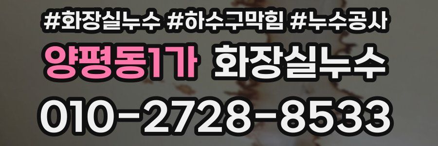 양평동1가 누수탐지