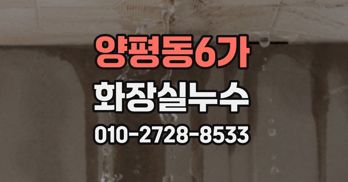 양평동6가 누수업체