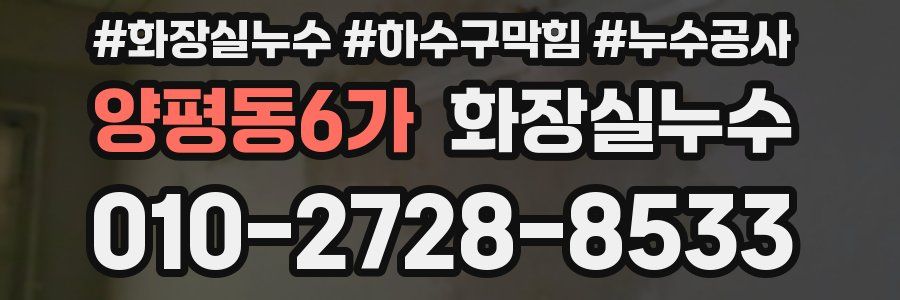 양평동6가 누수탐지