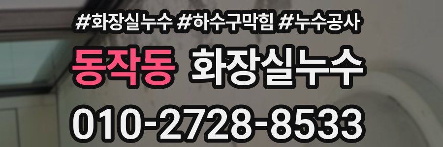 동작동 누수탐지
