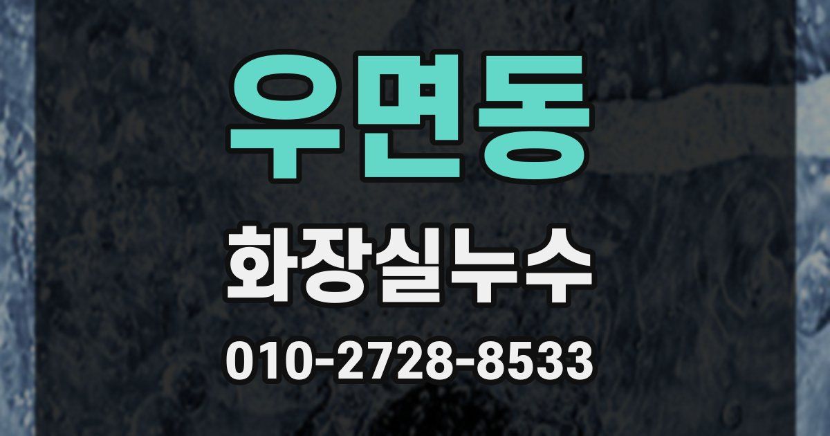 우면동 누수업체