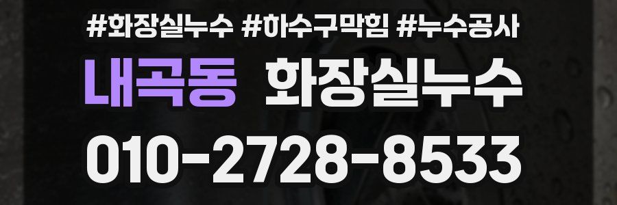 내곡동 누수탐지
