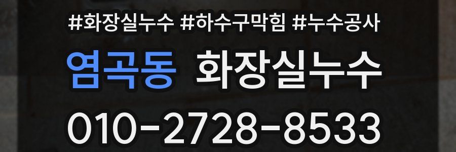염곡동 누수탐지