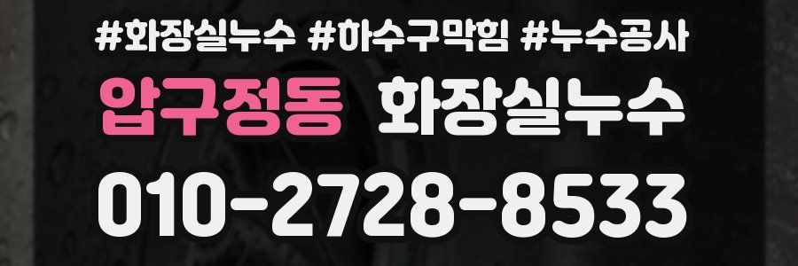 압구정동 누수탐지