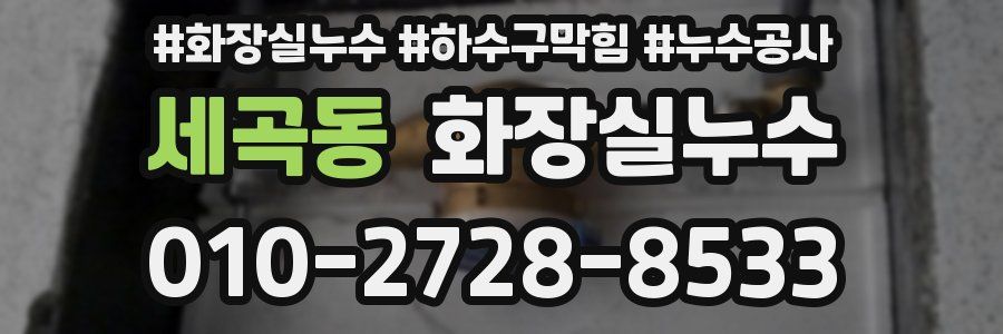 세곡동 누수탐지