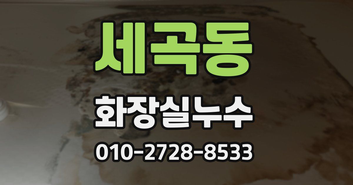 세곡동 누수업체