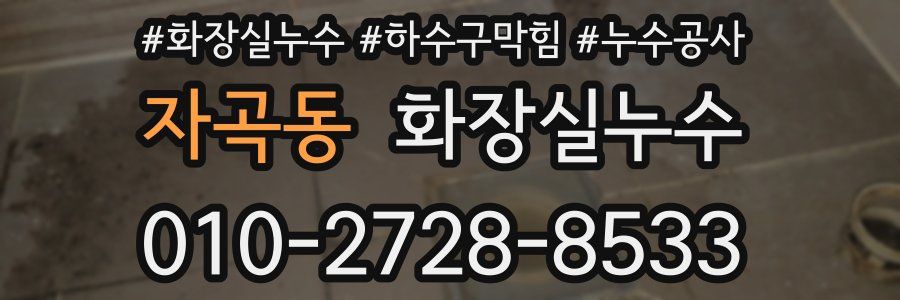 자곡동 누수탐지