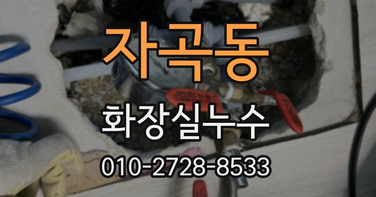 자곡동 누수업체