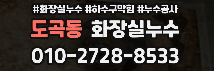 도곡동 누수탐지