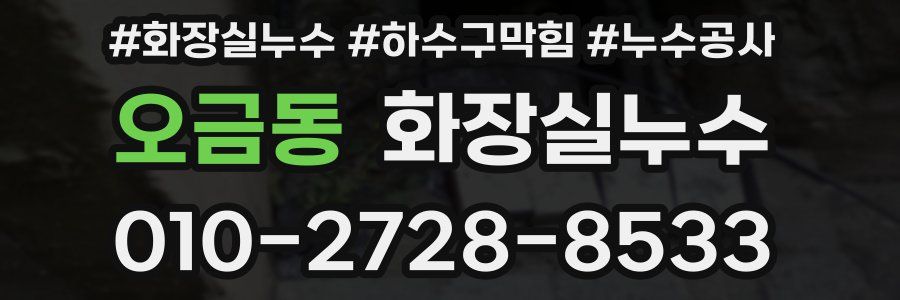 오금동 누수탐지