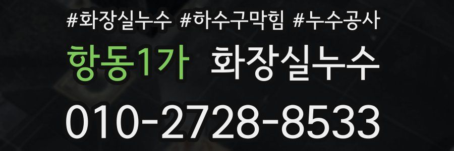 항동1가 누수탐지