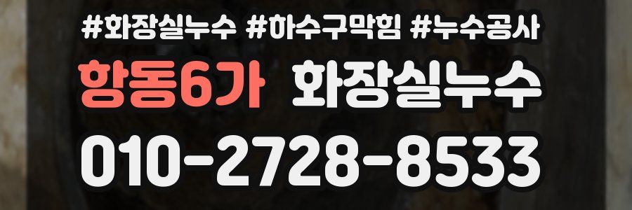 항동6가 누수탐지