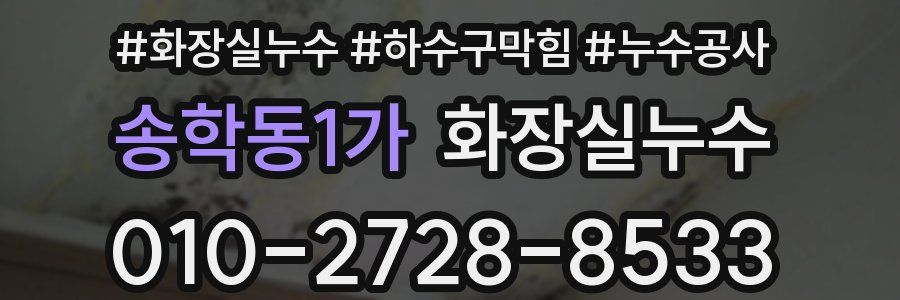 송학동1가 누수탐지