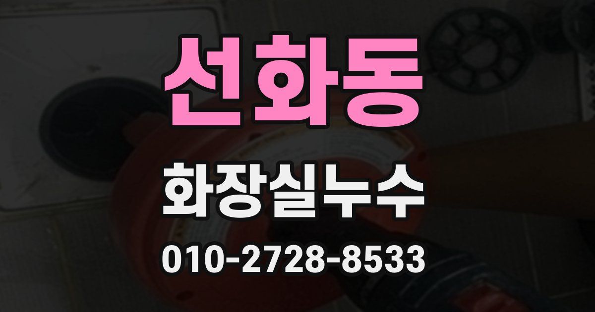 선화동 누수업체